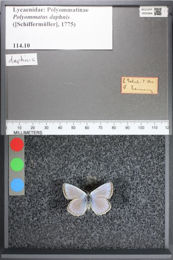 Media type: image;   Entomology 53824